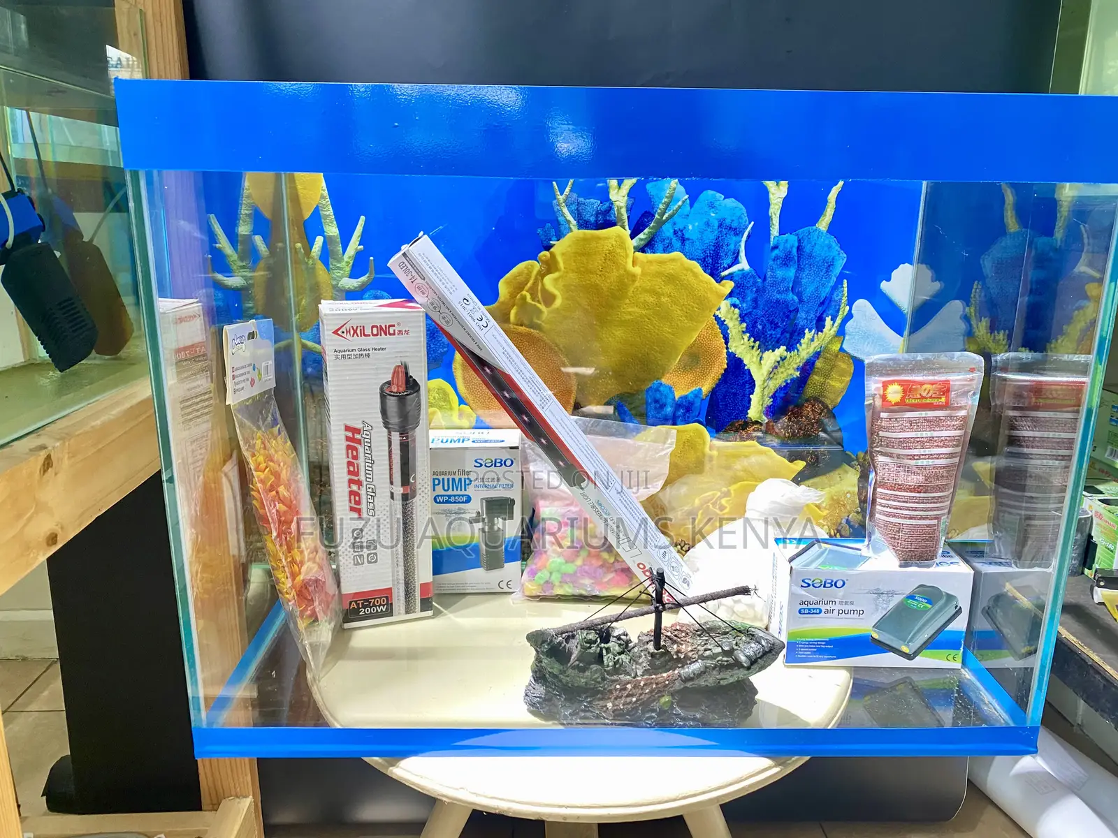 Color, Light Motion in One Aquarium