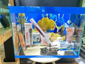 Color, Light Motion in One Aquarium