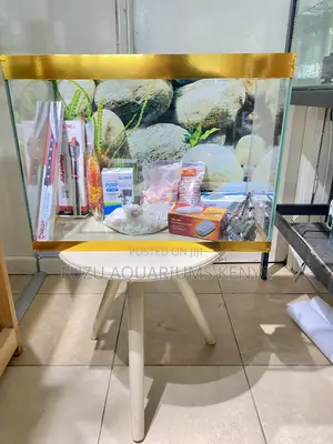 A Living Scene That Never Gets Old 2ft Aquarium