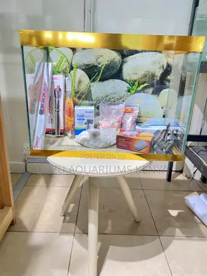 Premium 2ft Tank With Lights, Fish Decor