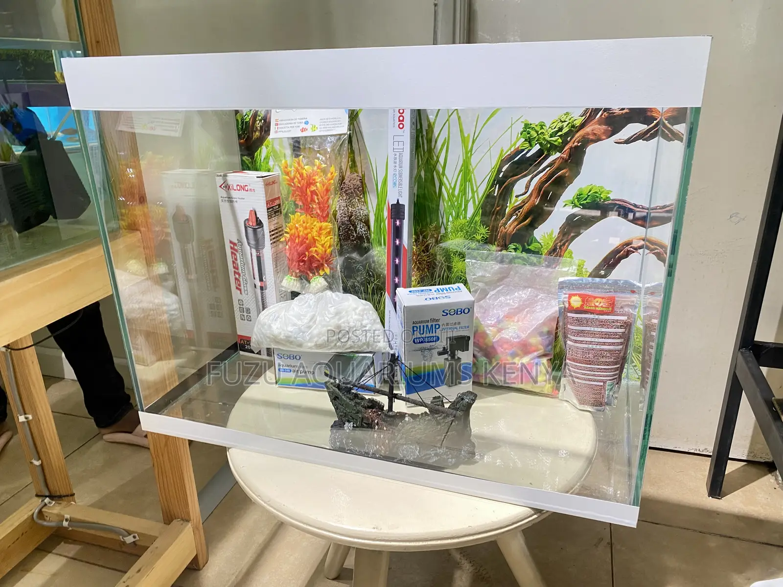 No Setup Stress – All-Inclusive Aquarium