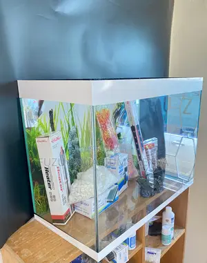The Aquarium That Has Scenery