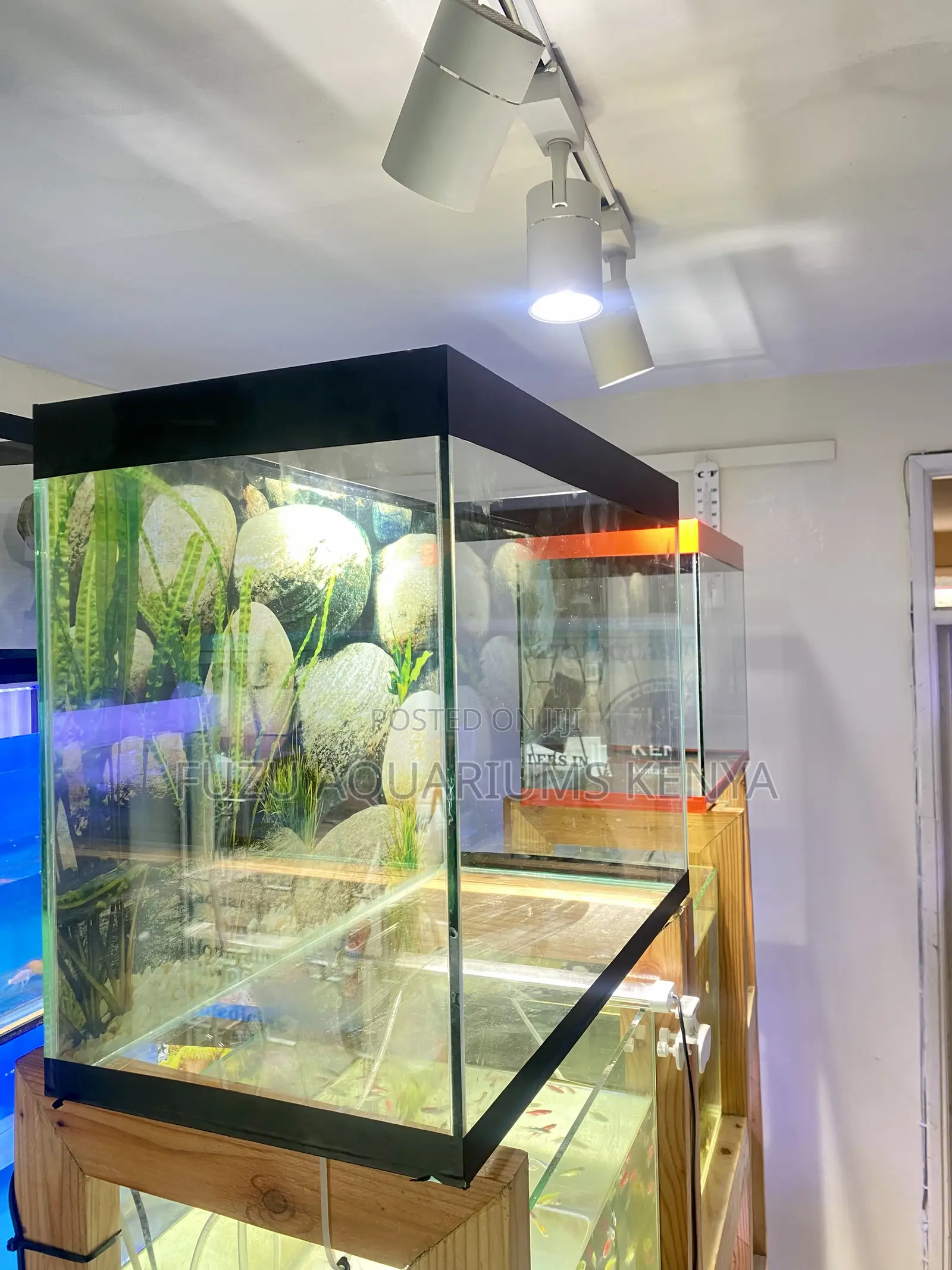 From Drab to Fab – Aquarium Edition