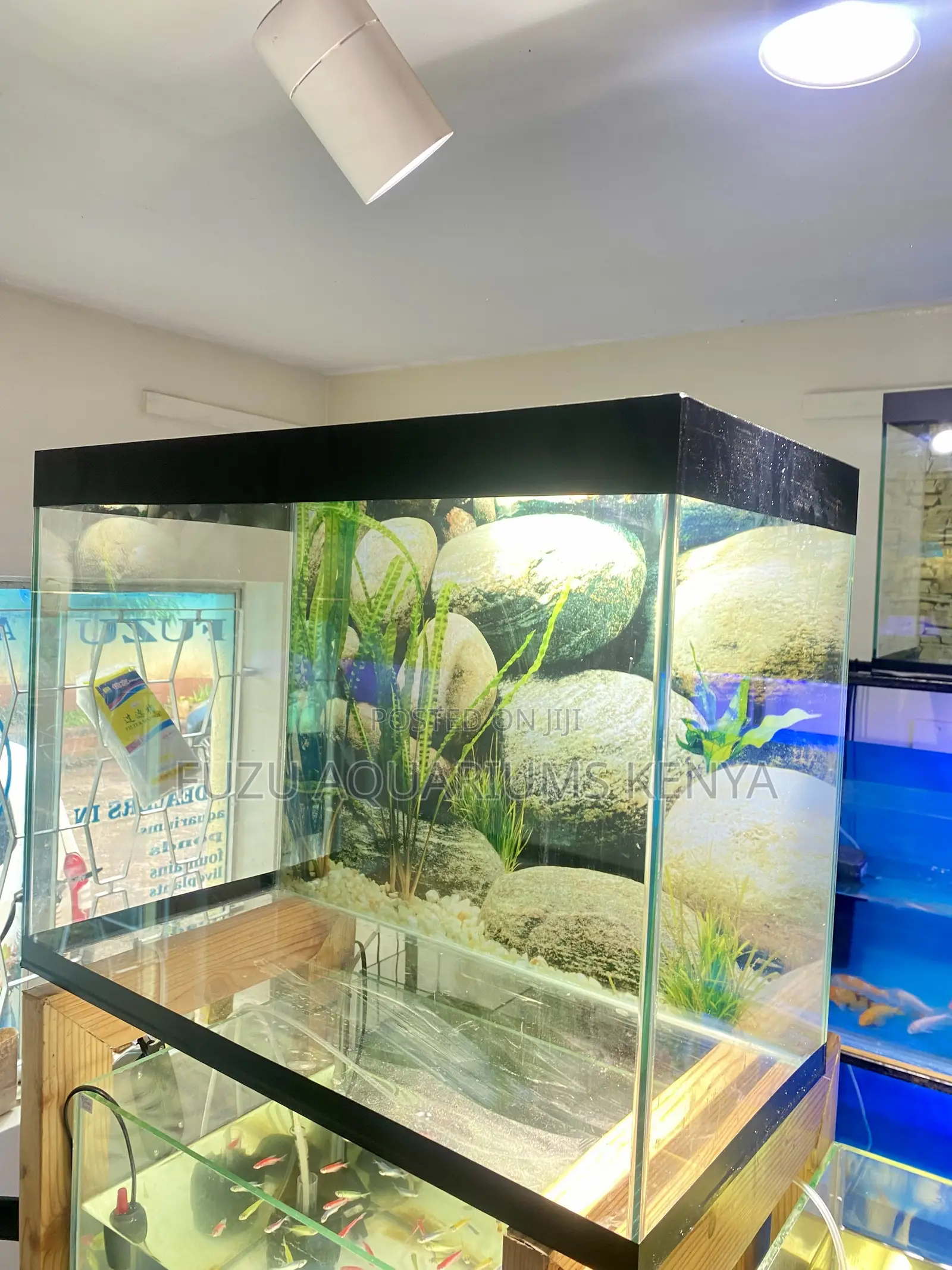 Fully Loaded Fish Tank That Pops