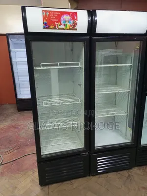 Premier Smart Display Fridge