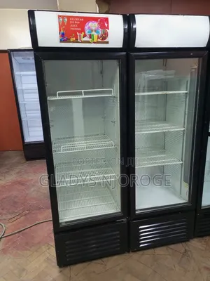 Premier Smart Display Fridge