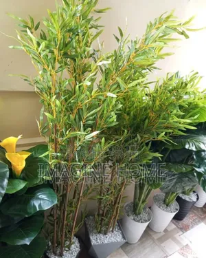 Bamboo Plant, Artificial Plants