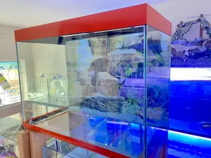 Fish Included! Tank, Lights Decor Too! Aquarium