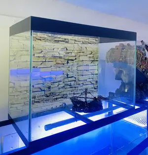 A Serene Scene You Can Own Today Aquarium