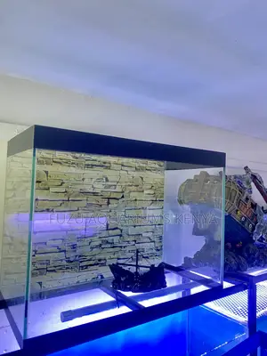 Small Tank, Big Personality Aquarium