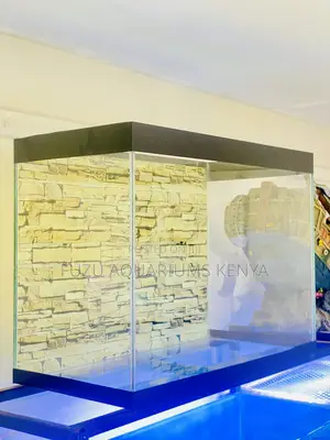 Add Some Life to Your Living Room With Colorful Aquarium