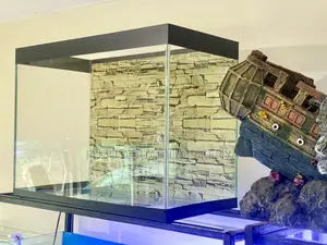 The Ultimate Home Aquarium Kit