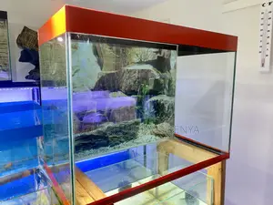 Perfect Gift for Fish Lovers, 60l Aquarium
