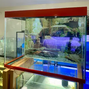 Set It, Stock It, Love It With This 2ft Aquarium