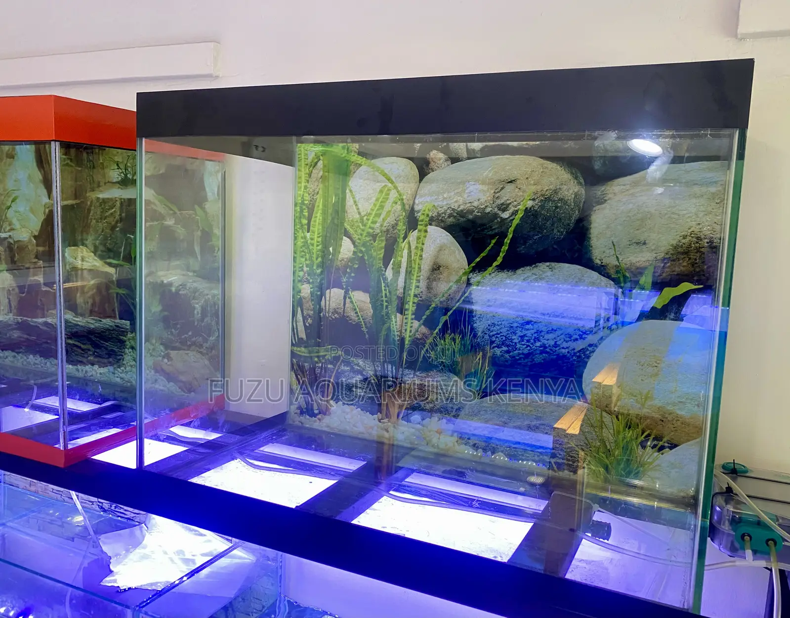 Your First Aquarium – Made Easy