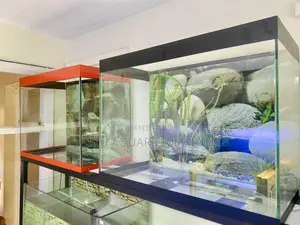 Create Your Aquatic Dream in Minutes, Choose Fuzu Aquariums