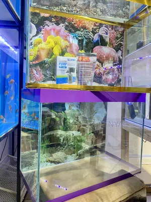 Aquarium Crafted for Every Room