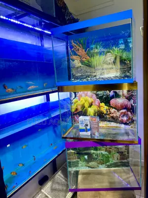 Watch Beauty Flow in This Fuzu Crafted Aquariums
