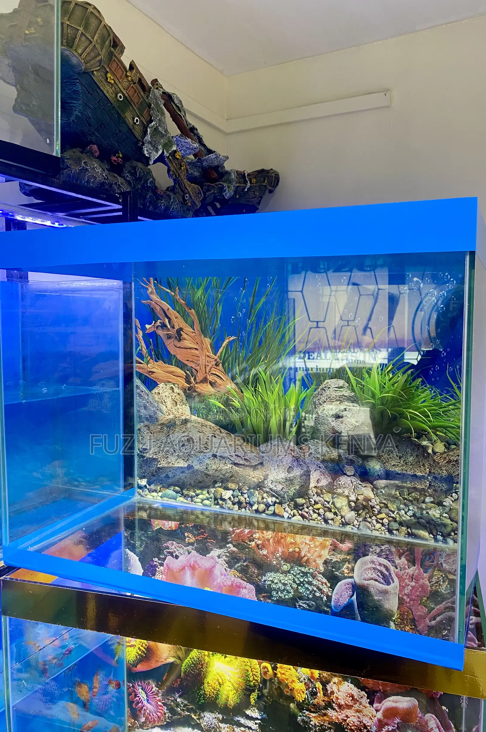 Compact Aquarium, Complete Package