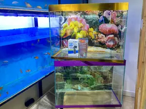 A Smart Aquarium for Stylish Homes