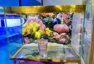 Plug, Pour, Enjoy – Aquarium Done Right
