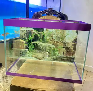 Brighten Your Day With a Beautiful Aquarium