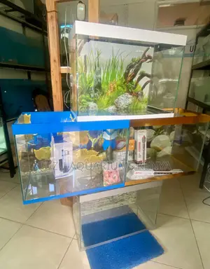 All the Gear, All the Glam – Aquarium Kit