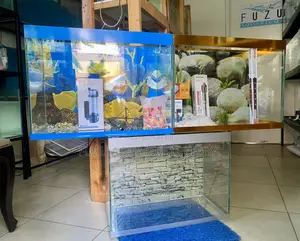 Peace, Beauty Color in Aquarium