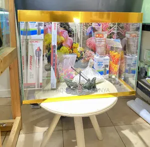 Turn Your Tabletop Into an Aquatic World, Gold Trim Aquarium