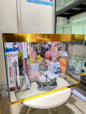 Your Complete Aquarium Setup in One Package