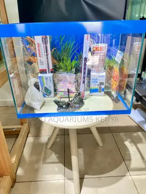 Blue Bordered Beauty – Fully Equipped Aquarium