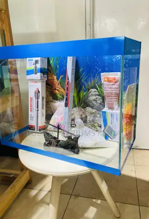 Add Color, Calm Class to Your Room Using This Aquarium