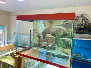 No Fuss, No Hassle – Aquarium Setup Included