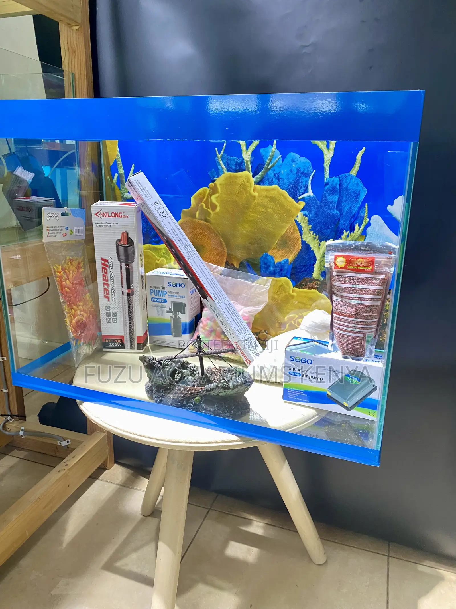 Ready, Set, Aqua! Complete Blue Trim Aquarium