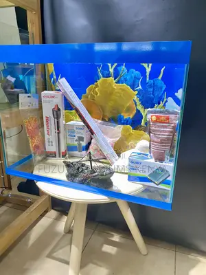 Ready, Set, Aqua! Complete Blue Trim Aquarium