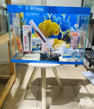 A Complete Mini Ocean for Your Home Blue Trim Aquarium