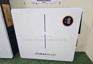 Lithium Valley 5.12kwh 51.2v Lithium Ion Battery