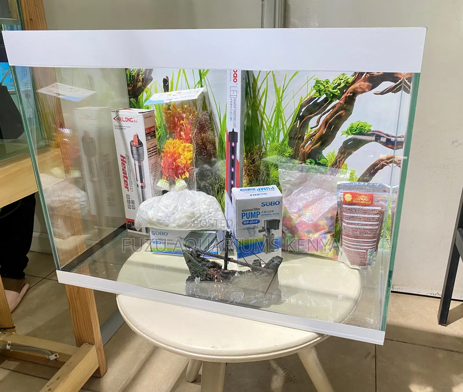 Turn Your Space With a Tranquil Aquarium