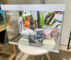 Turn Your Space With a Tranquil Aquarium