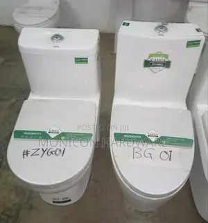 One Piece Toilet (Sawa)