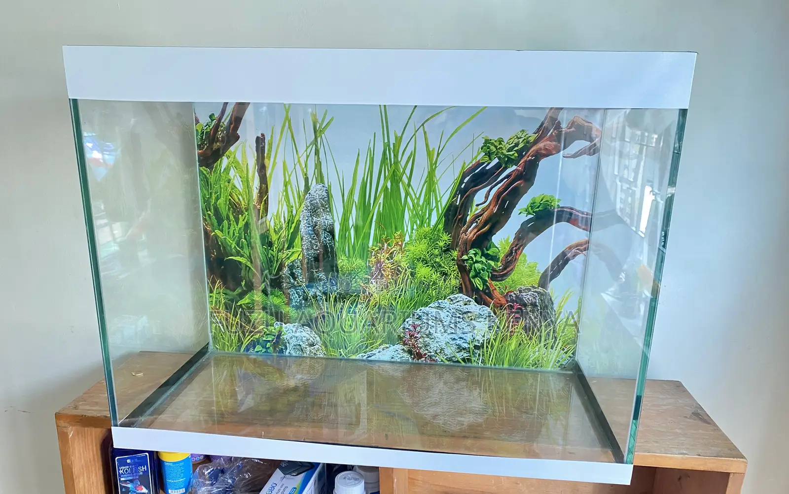 Stress-Free Aquarium Setup at Your Fingertips