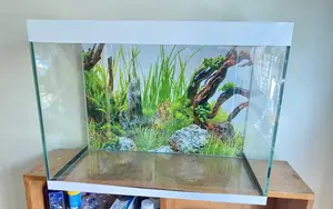 Stress-Free Aquarium Setup at Your Fingertips