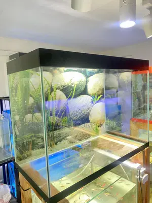 Brighten Your Living Space With This Stunning Aquarium