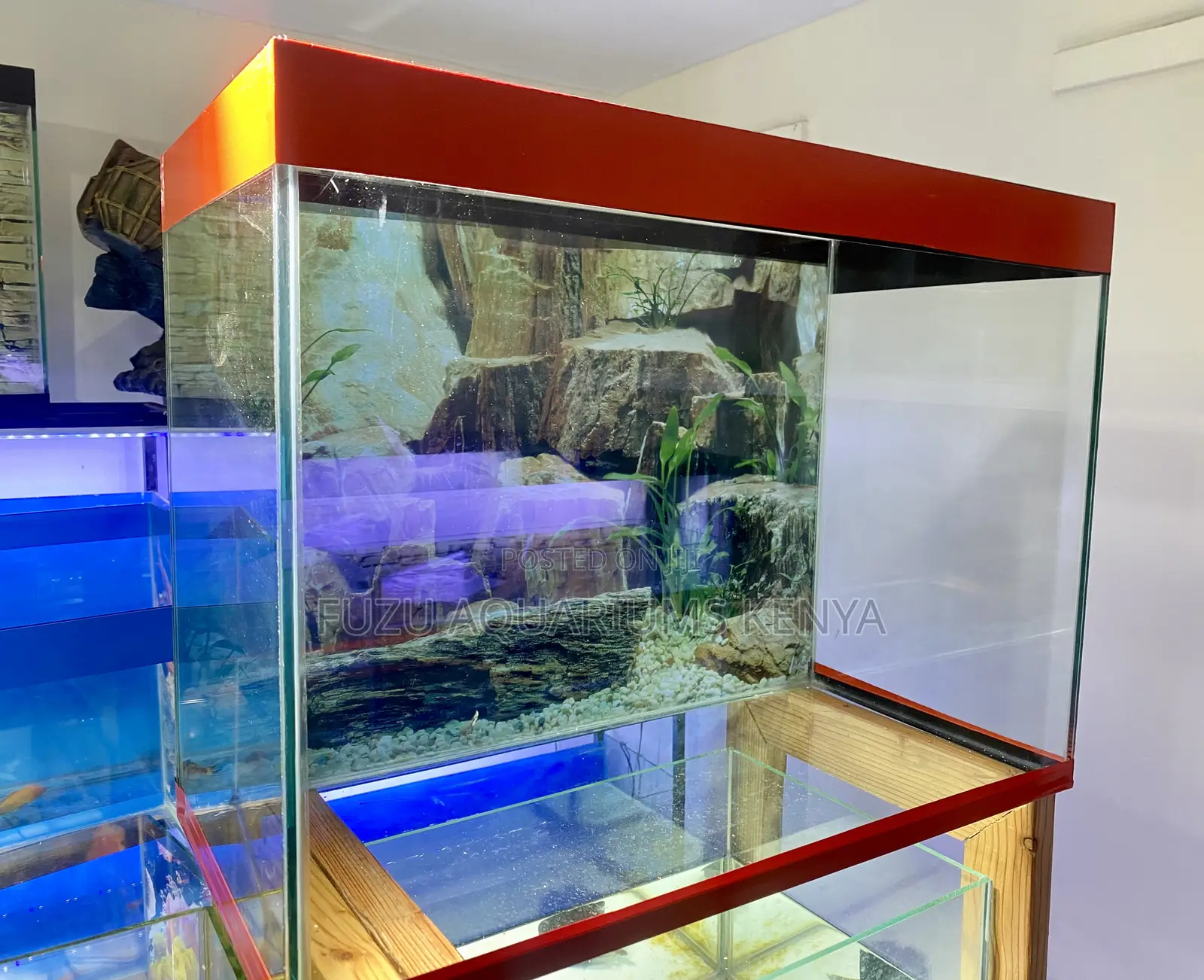Create a Colorful Aquatic World Instantly