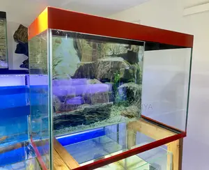 Create a Colorful Aquatic World Instantly