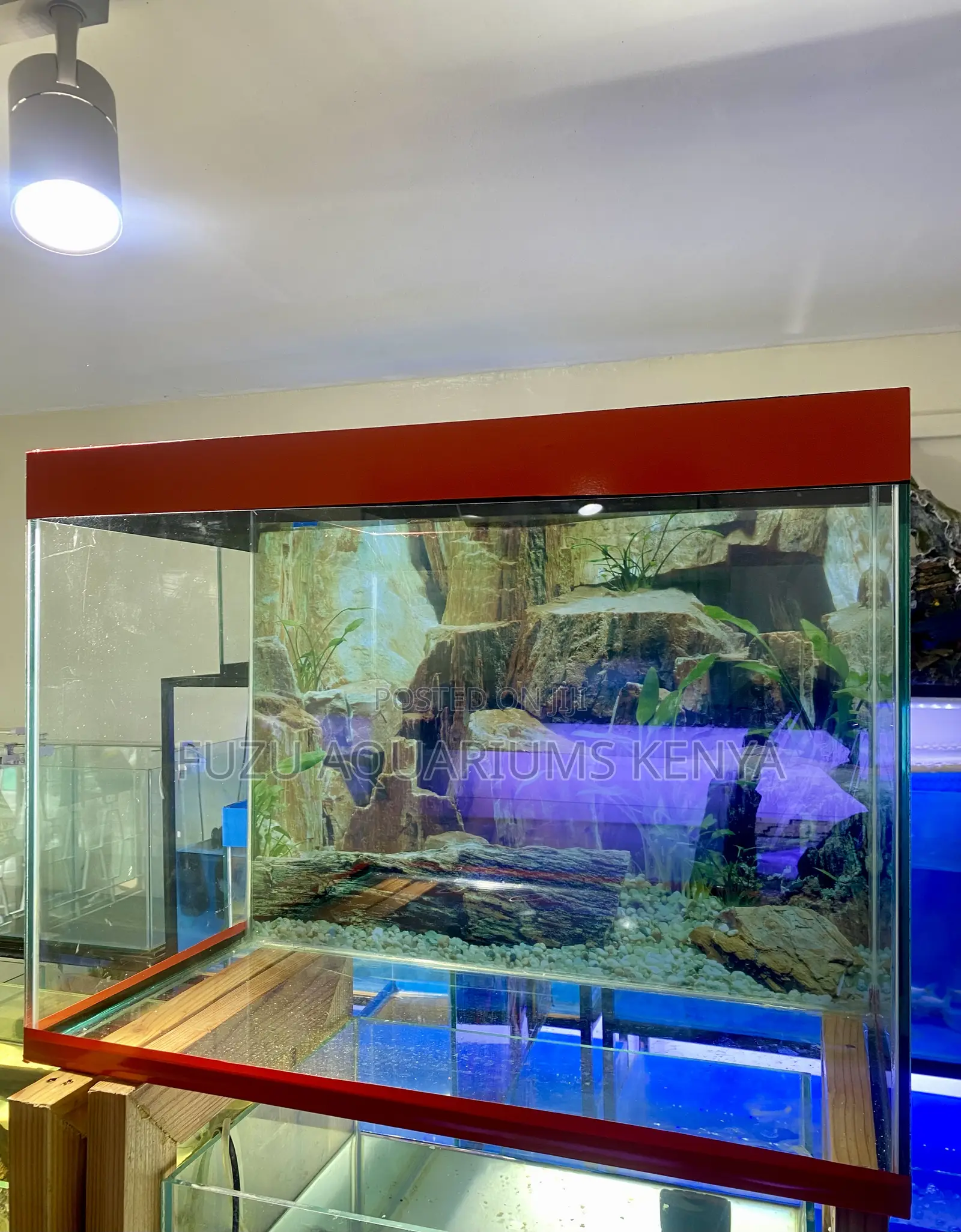 Red Frame, Big Features – Aquarium Kit