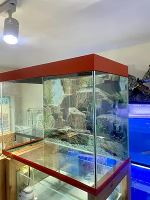 Professional-Looking Aquarium for Any Budget
