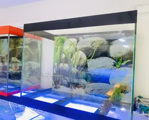 Fishkeeping Fun Starts With This Aquarium