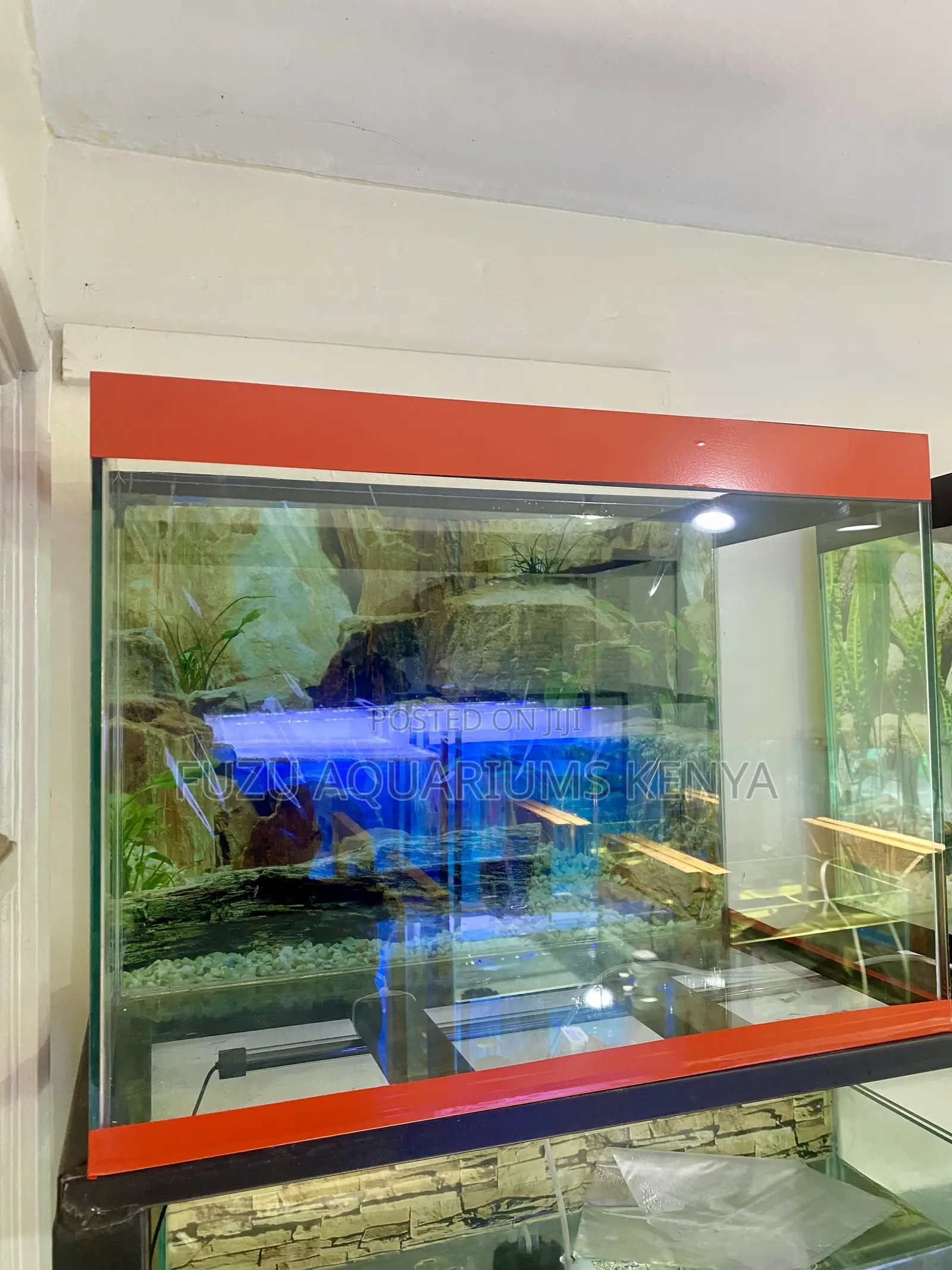 Create a Live Artwork With This Fish Aquarium