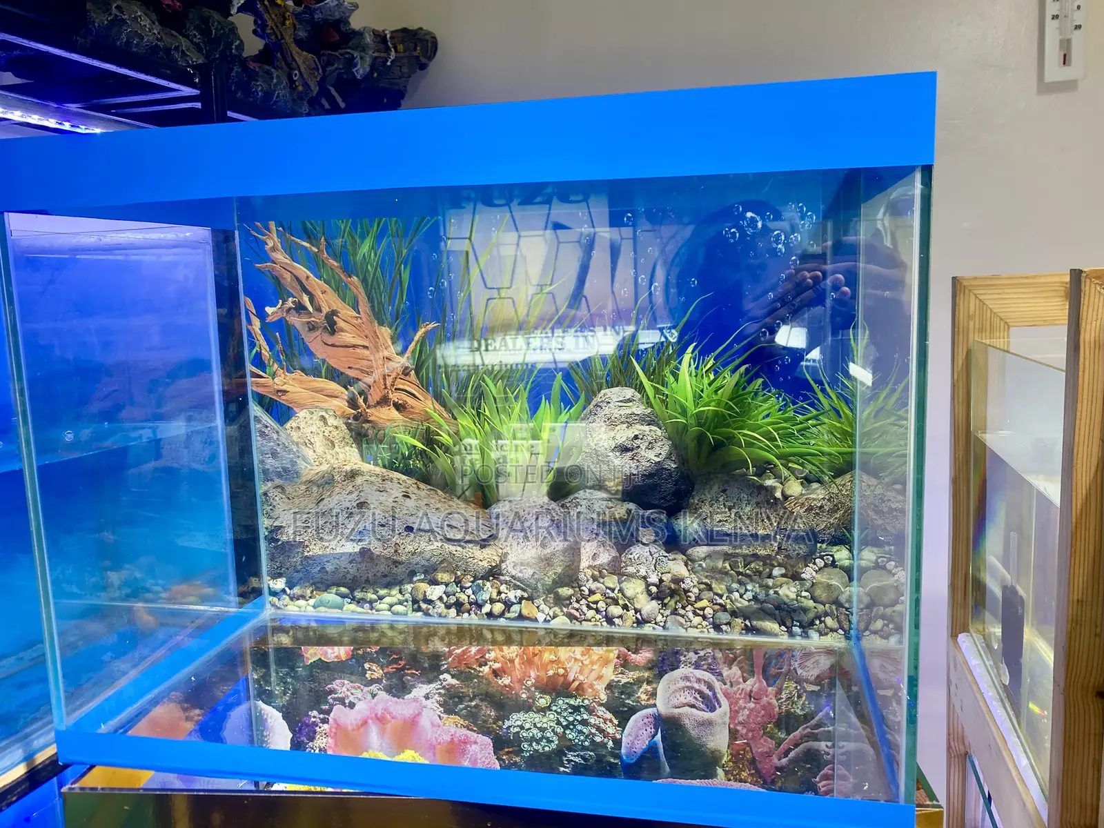 This Aquarium Setup Brings the Vibes